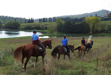 Italy-Tuscany-Tuscan Discovery Week